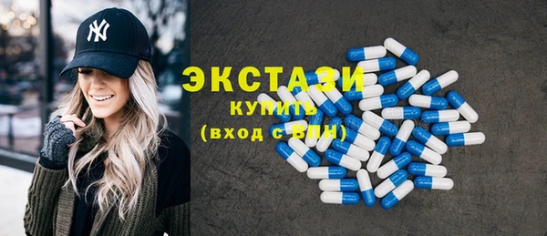 стаф Ельня