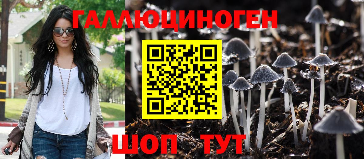 Галлюциногенные грибы Psilocybine cubensis Подольск