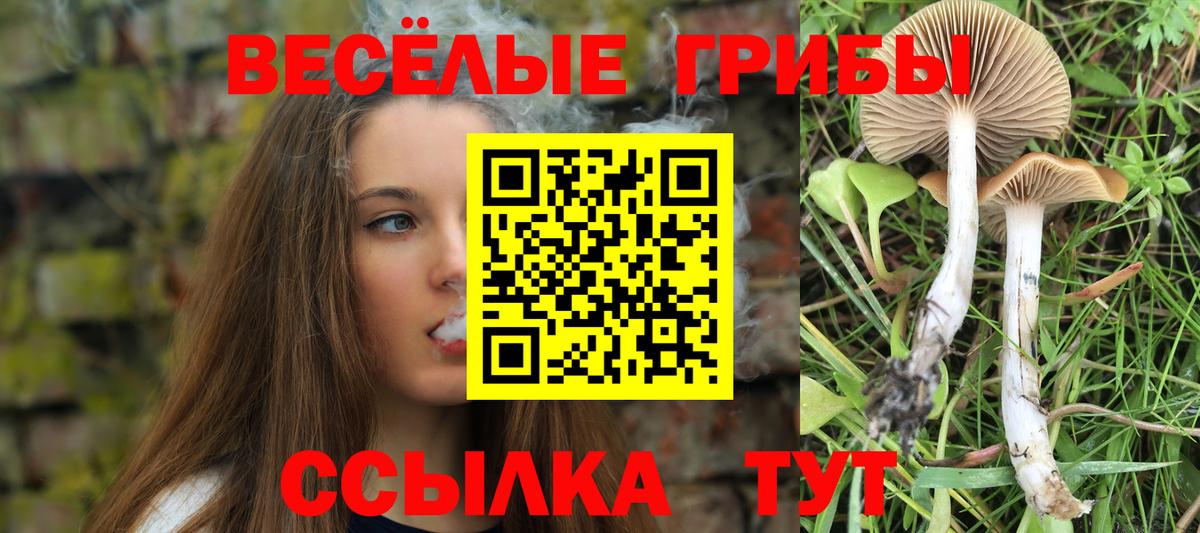 Подольск  Псилоцибиновые грибы прущие грибы  Вход с VPN 